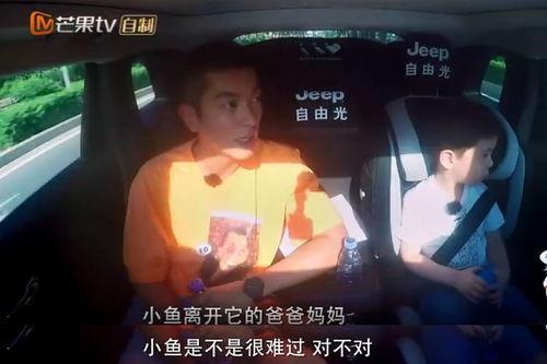 黑哥爆料小小鱼视频,小小鱼视频背后的惊人真相  第3张